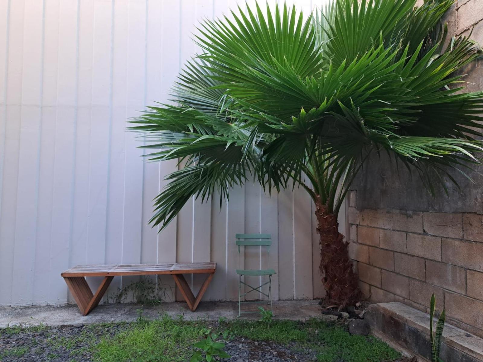 Honu Waikiki By Aloh Hostel Honolulu Exterior photo